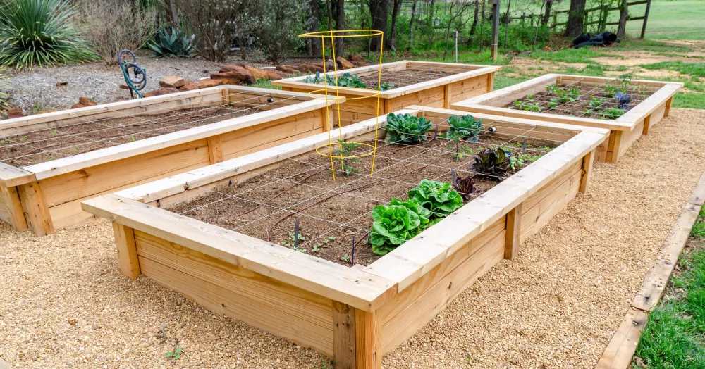 jardinerie